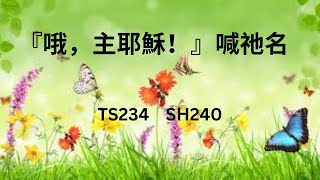 TS234     『哦，主耶穌！』喊祂名   (PIANO)