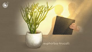 This BRILLIANT Sustainability Idea will Change the World | New Self Healing Composite Material