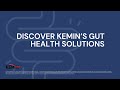 Discover Kemin’s gut health solutions