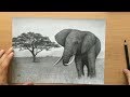 African Elephant - Charcoal Pencil Drawing