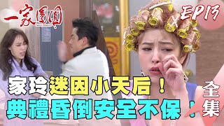 一家團圓 第13集 Family Reunion EP13【完整版】｜【iOiO超口感蒟蒻】