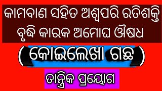 ବୃକ୍ଷ ଲତାର ଗୁଣ ଓ ତାନ୍ତ୍ରିକ ପ୍ରୟୋଗ -(କୋଇଲେଖା )#viralvideo