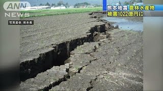 農林水産物の被害1022億円　熊本地震で陥没や亀裂(16/05/02)