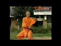 chinese kung fu shaolin dahong quan training