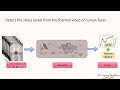 Computer Vision and Deep Learning: Facts and Myths