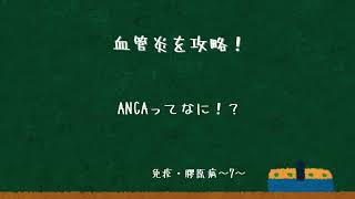 血管炎をまとめて！ANCA関連血管炎、結節性多発動脈炎、側頭動脈炎、大動脈炎症候群など〜免疫・膠原病7〜