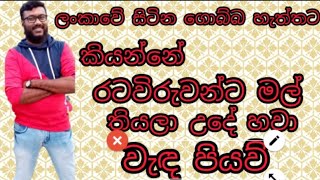 රටවිරු ඔබේ තරම,විදෙස් හඬ