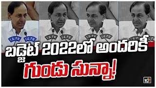 బడ్జెట్ 2022లో అందరికీ గుండు సున్నా! | CM KCR Union Budget 2022-23 Press Meet Highlights | 10TV