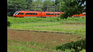 2018年5月、クリムゾンクローバー畑の前を行き来する小田急ロマンスカー