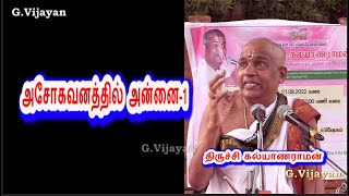 சுந்தரகண்டம், அசோகவனத்தில் அன்னை-1, ராம நாமத்தின் மகிமை, ஆஞ்சநேயர் சிறப்பு,   Trichy Kalyanaraman