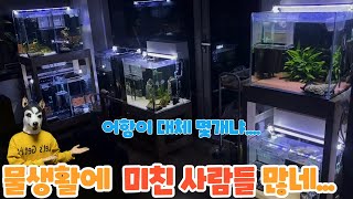 천하제일물생활 자랑대회 대상은?! 상품100만원의 주인공과 난리난 구독자 어항들