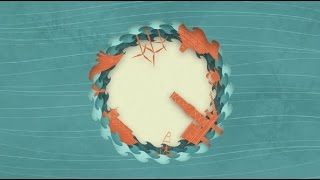 Integrated ecosystem understanding explained