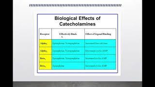 Adrenal Medulla By (Dr. Maria Anwar for 2nd Year MBBS)