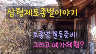 토종벌 월동 준비 \u0026 폐가 체험? 오동나무 속 파기 준비~