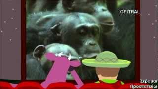 χιμπατζής chimpanzee