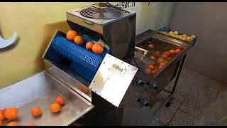 Fruit washing machine دستگاه شستشوی میوه