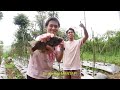 ngaliwet di kebon ngeunah pisan ngabolang di kaki gunung kerenceng desa sindulang sumedang