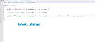 Comments that Execute java program