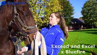 Godolphin Flying Start Trainee Views, October 2017