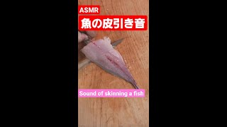 【ASMR】 魚の皮引き音が心地よすぎる Sounds of skinning a fish. #asmr #asmrsounds #魚 #捌き方 #fish #fillet #shorts