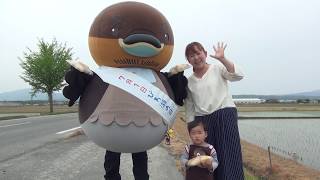 「野洲のおっさんびわ湖1周行脚2017」5/9高島市安曇川町青柳～高島市新旭町藁園その1