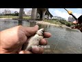 creek fishing in taiwan 很久沒來小碧潭 這水域裡有無限想像空間又可遮陽