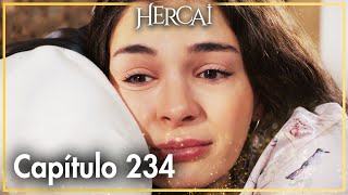 Hercai - Capítulo 234