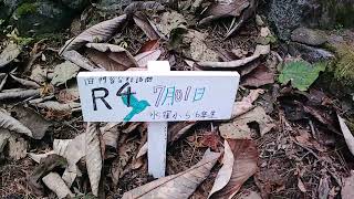 #廃墟　廃校　R41113水窪小学校門谷分校（照明無）