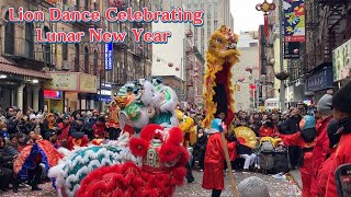 2025/02/08 纽约中国城欢庆新春 舞狮精彩表演Lion Dance Celebrating Lunar New Year in Chinatown NYC #southern_mantis