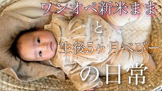 新米ママのワンオペ事情【生後5ヶ月】