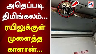 அதெப்படி திமிங்கலம்..ரயிலுக்குள் முளைத்த காளான்..