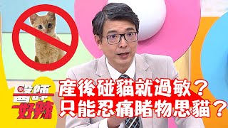 貓奴產後體質改變...一碰貓咪就過敏？只能忍痛睹物思貓？【#醫師好辣】20220629 part2 EP1361 洪永祥  吳子龍