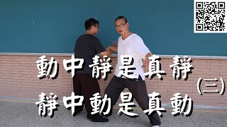 內家拳［動靜等觀］(三) 形有定止 意氣無窮 #中国武术 #气功#形意拳 #八卦掌 #太極拳#氣功#武術#道家靜心#kungfu#李存義 #xingyi#bagua#qigong