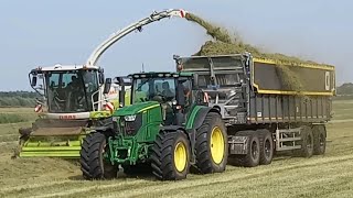 Gut Hohen Luckow Gras mähen/häckseln,Claas Cougar 1400/Jaguar 970,2x Case Optum 250/John deere 6250r