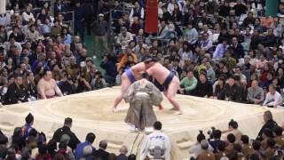 4K動画 大相撲 三月場所　勢/正代　 高画質 sumo　十二日目　2017.3.23