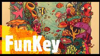 FunKey-Hard Hits