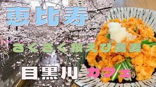 【東京グルメ日記】さくさく桜えび天、つるシコお蕎麦とレモンケーキ🍋目黒川の桜🌸「箸庵」「カフェ キャラット」【60代グルメvlog】