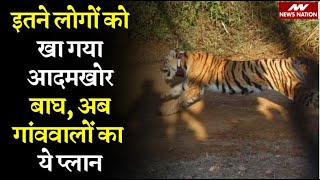 Tiger Encounter : बिहार में कहां वन विभाग ने की आदमखोर बाघ पर शिकंजे की तैयारी ! | Bihar News