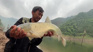 二毛荒野釣魚第71天 收獲滿滿的壹天 能換很多面條了各位大哥