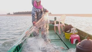 老四想找岳父喝酒，一早出海抓大鱼大蟹孝敬岳父，不料选错了日子