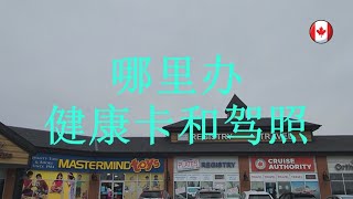 加拿大卡尔加里2022移民生活 新朋友去哪里办健康卡和汽车驾照