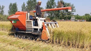 Kubota combine Harvester field working Japanese harvesting of the rice mini Kubota import from Japan