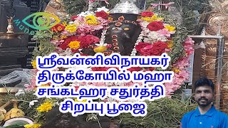 ஸ்ரீ வன்னி விநாயகர் திருக்கோயில் மஹா சங்கடகரசதுர்த்தி சிறப்பு பூஜை#muneesviewchannel