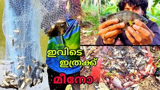 ഇത്രക്ക് മീൻ കിട്ടും എന്ന് കരുതിയില്ല | castnet fishing | village fishing #fishing #fishhunting #1m