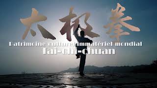 ☯️Micro-classes de Taijiquan : histoire de transmission 太极拳微课堂：传承的故事