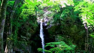 柱戸の不動滝（群馬県みどり市）　Hashirado Fudo falls（Gunma,Japan）