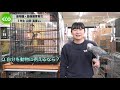 動物園飼育員を目指す在校生にインタビュー