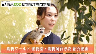 動物園飼育員を目指す在校生にインタビュー