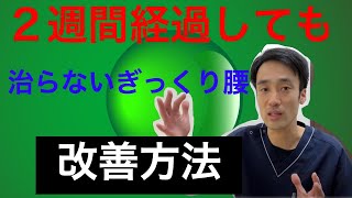 ２週間経ってもギックリ腰が改善しない。よくする方法はこれ｜兵庫県西宮ひこばえ整骨院・整体院