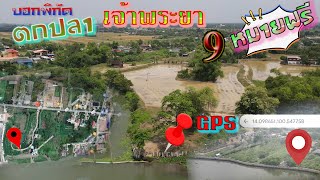 EP#36หมายฟรีมีพิกัดGPSบอกหมายตกปลาแม่น้ำเจ้า  PART1